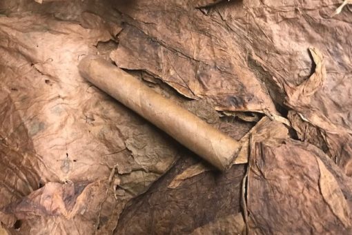 Nino Natural Cigar